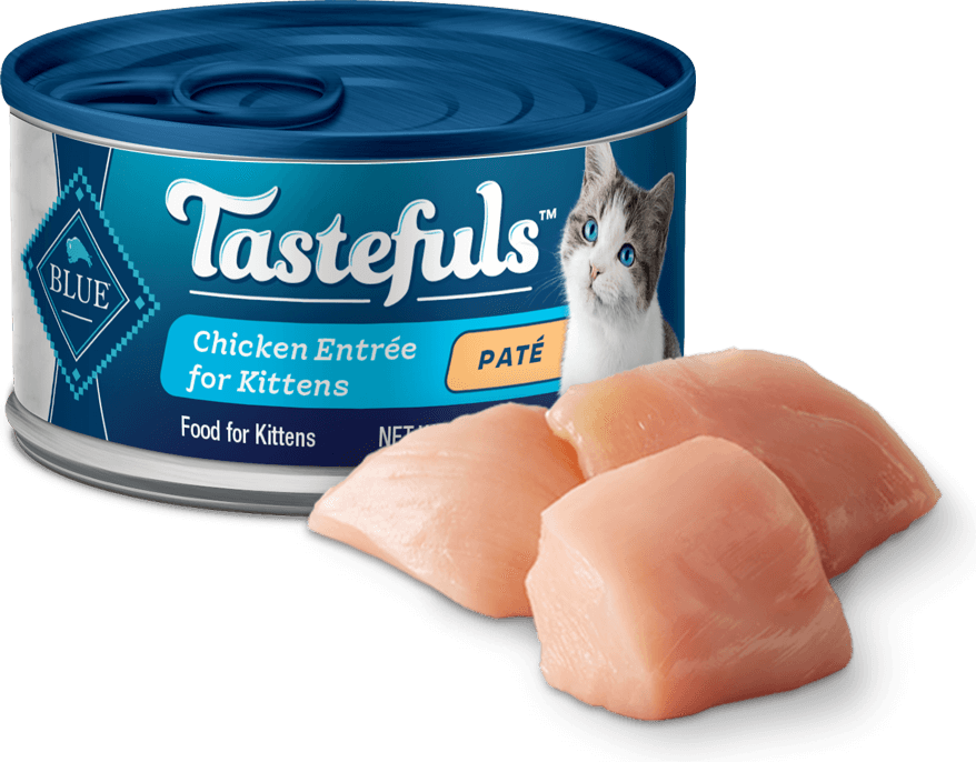 BLUE Buffalo Tastefuls Chicken Paté - Kitten